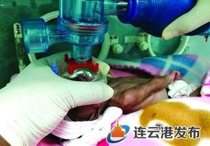 成人留置针视频教程