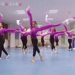 成人舞蹈集训小班视频,共赴舞蹈集训之旅