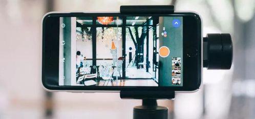 淋浪导航成人短视频,淋浪导航带你领略激情世界