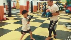 成人躲闪散打视频,成人躲闪散打技巧与策略