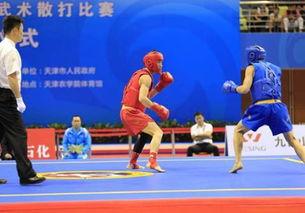 成人躲闪散打视频,成人躲闪散打技巧与策略