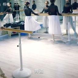 成人训练视频教程,全面解析高效学习策略