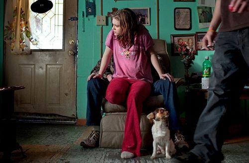 成人交往的真实案例视频,视频案例深度解析