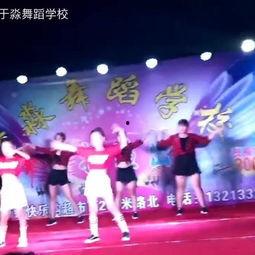 成人学藏族舞视频大全,成人学舞视频大全精选解析