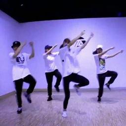 成人学藏族舞视频大全,成人学舞视频大全精选解析