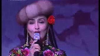 成人维族舞群舞视频大全,群舞风采大盘点