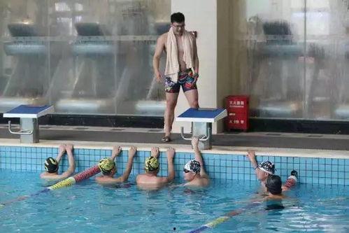贾汪成人游泳教学视频,轻松掌握水上技巧