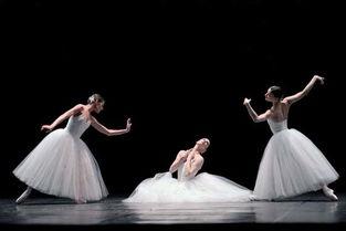 成人礼舞蹈歌曲视频,成人礼舞蹈歌曲视频精彩回顾