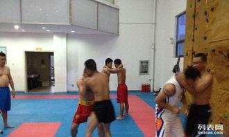 成人武术视频大全套免费,轻松掌握传统武艺精髓