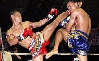 成人武术视频大全套免费,轻松掌握传统武艺精髓