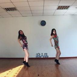 成人瑜伽舞蹈版视频大全,全方位成人瑜伽舞蹈视频大全精选