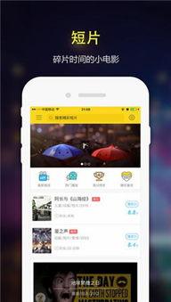 成人福利视频软基导航,软基导航带你畅游健康娱乐新天地